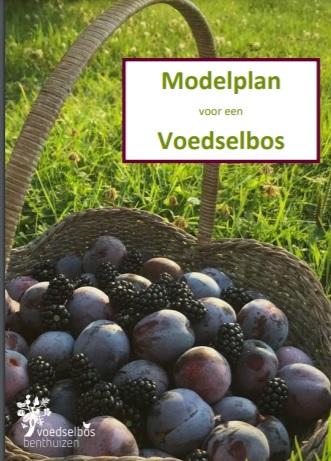 Modelplan