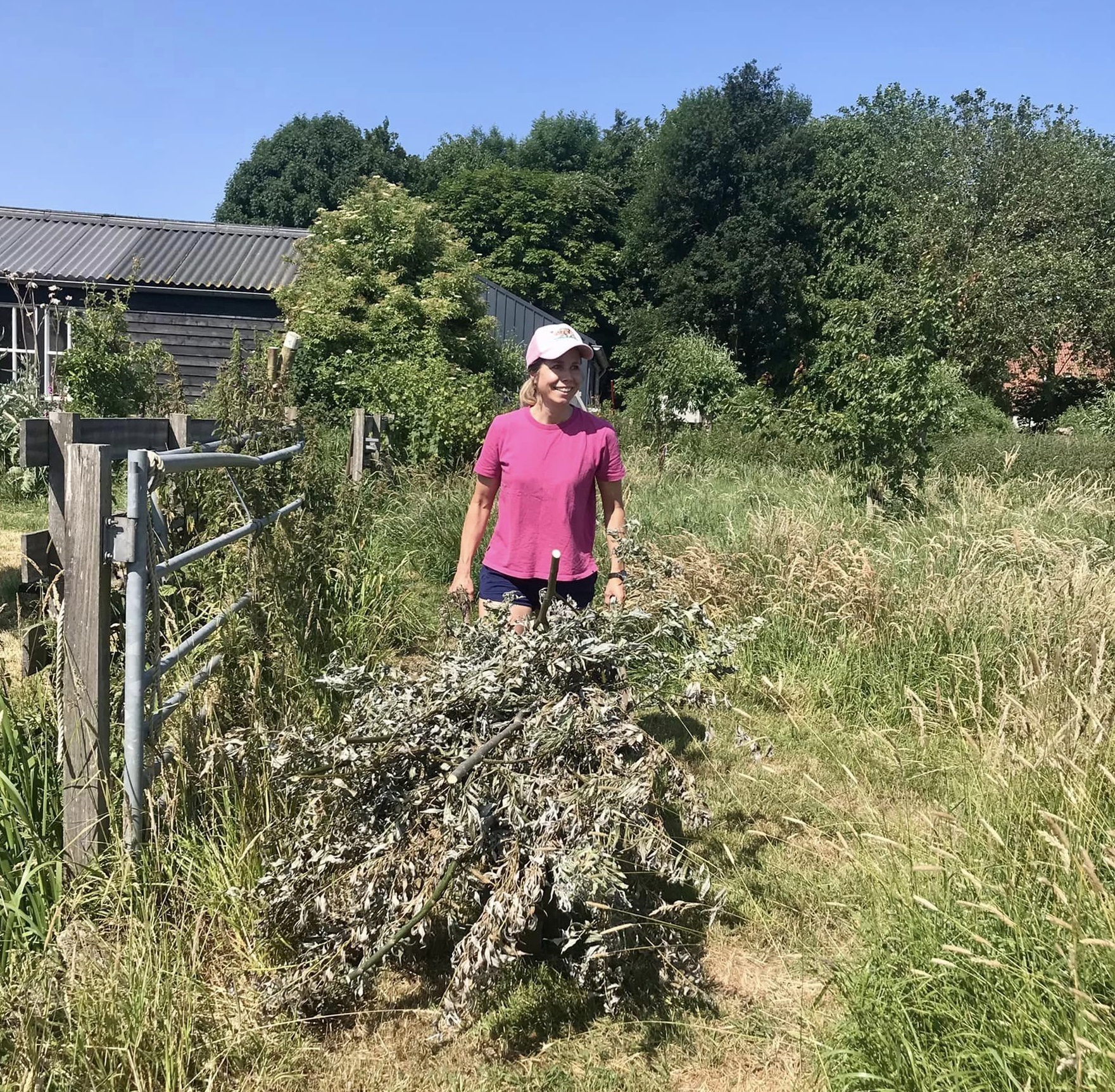 Franse uiensoepboom in Voedselbos Benthuizen - Toona sinensis