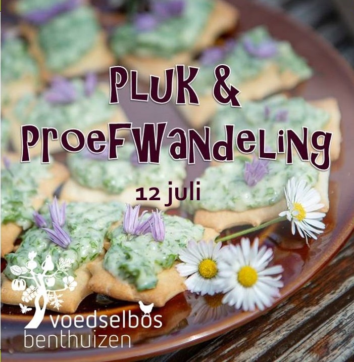 PPwand12juli