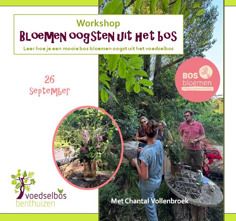 Workshop BosBloemen